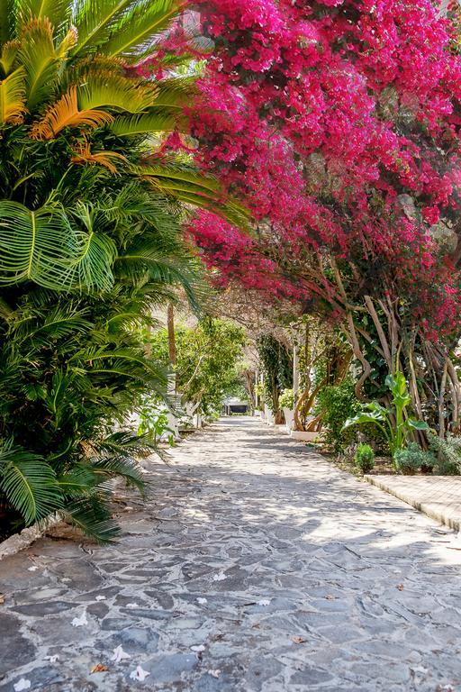 Kalamitsi Beach Camping Village Preveza Exteriér fotografie